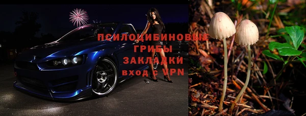 спиды Няндома