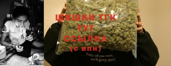 спиды Няндома