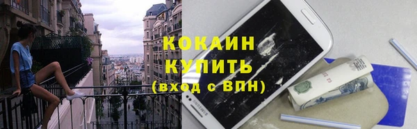 стафф Новодвинск