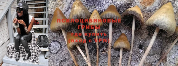 дживик Нязепетровск