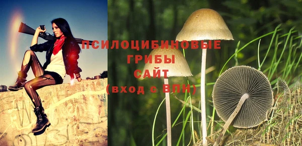 дживик Нязепетровск