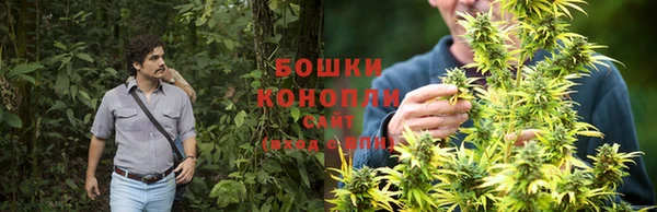 стафф Новодвинск