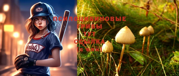 дживик Нязепетровск