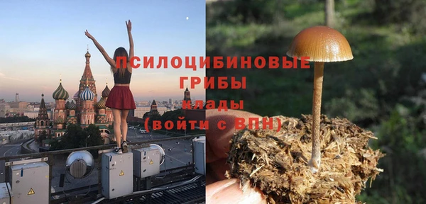 спиды Няндома