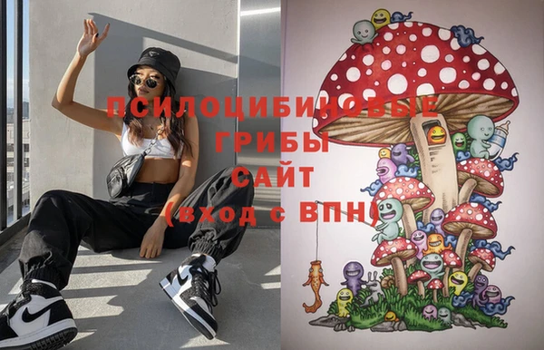 спиды Няндома