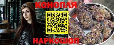 гидра Заволжье