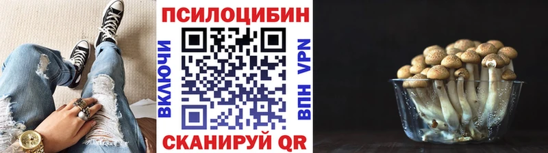 даркнет сайт  Саров  Галлюциногенные грибы MAGIC MUSHROOMS 