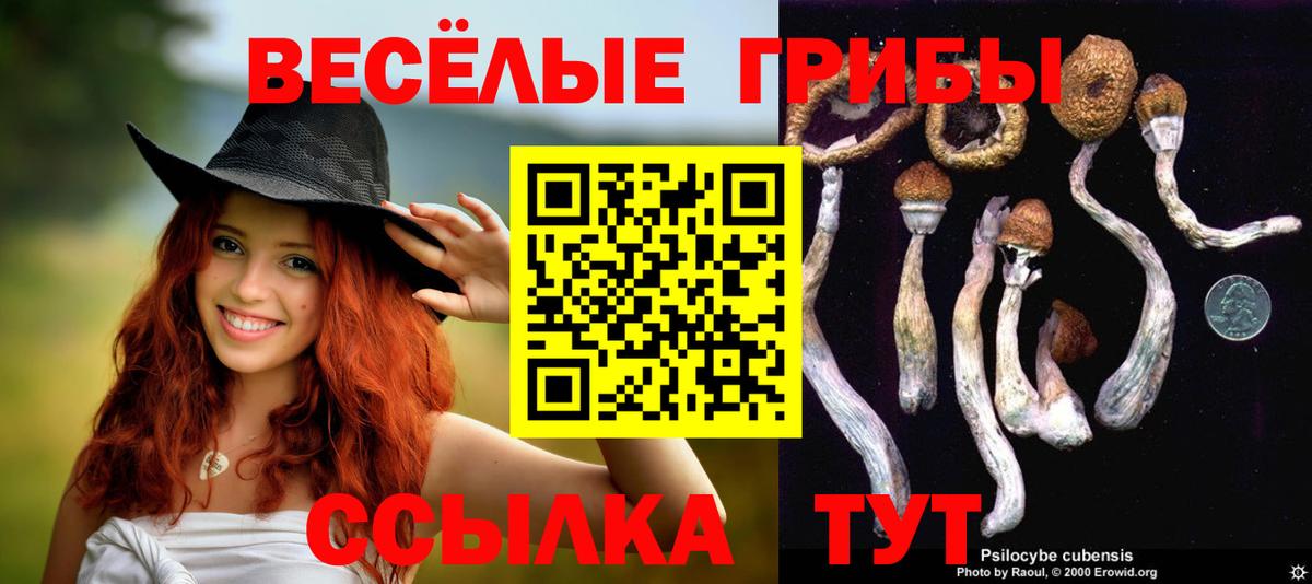 Галлюциногенные грибы прущие грибы  Вход с VPN  Саров  Галлюциногенные грибы Psilocybe 